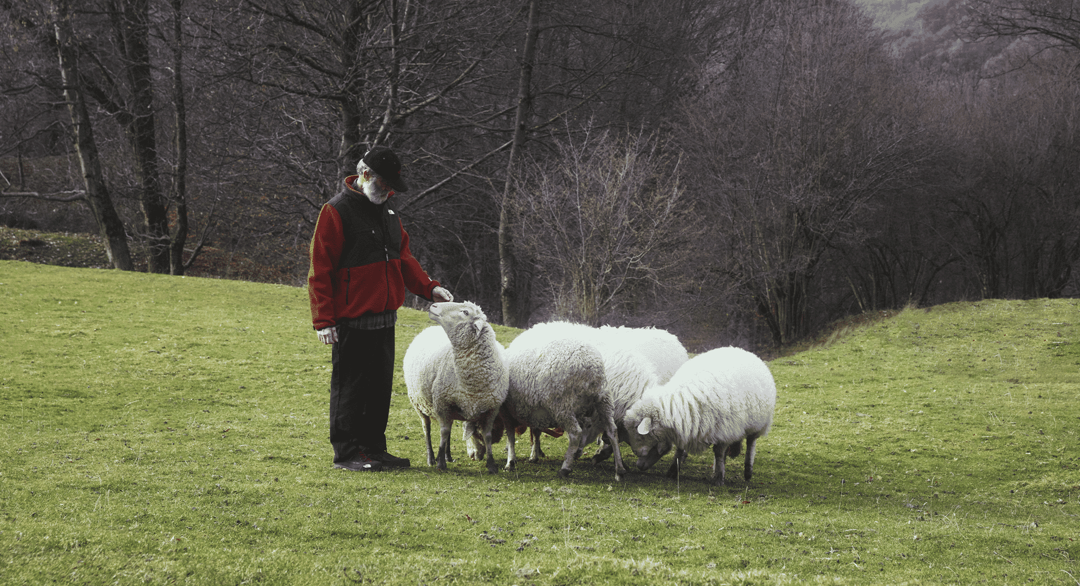 North Face Casentino: Is the Wool Denali Worth Buying?