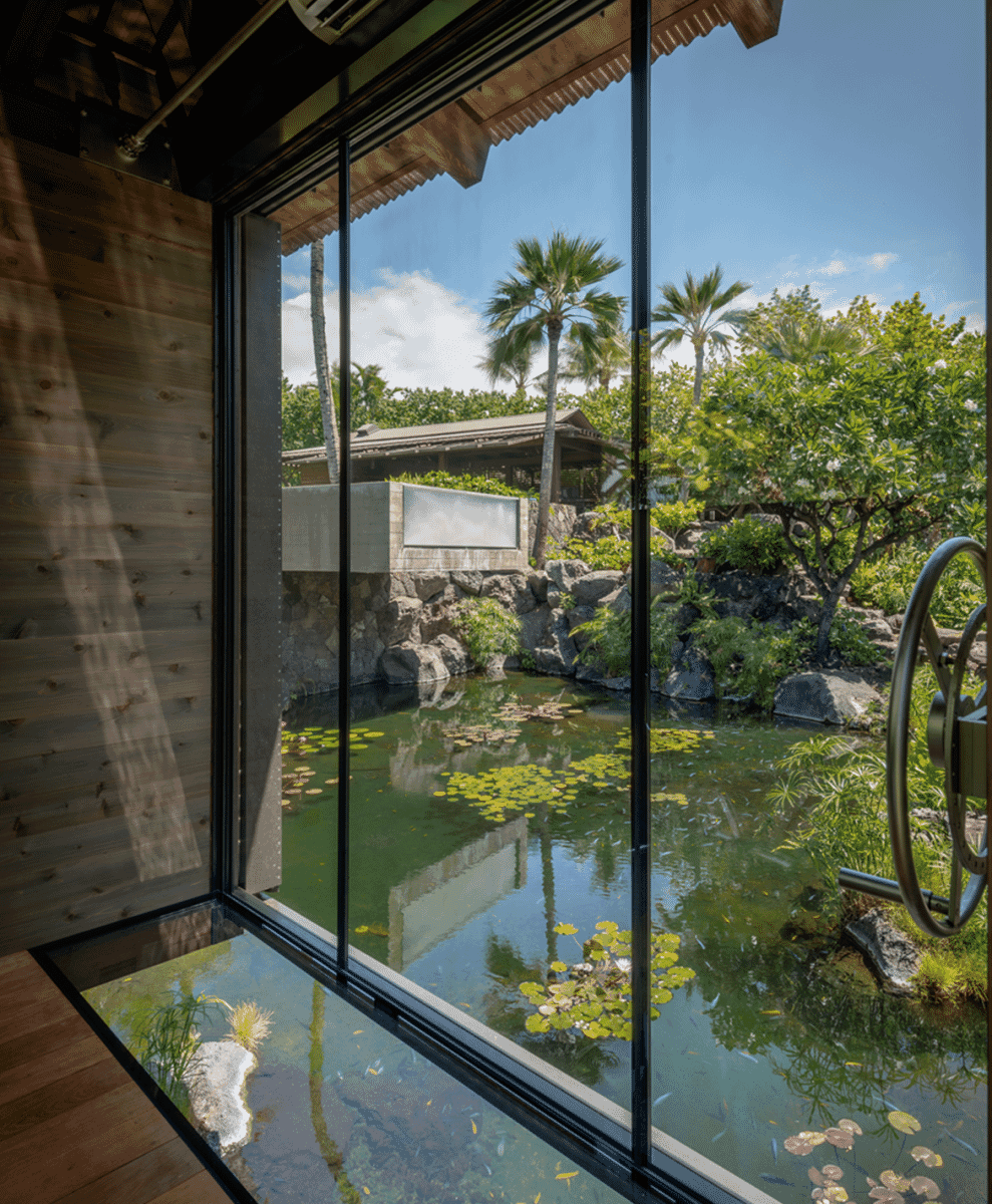 Interior view looking through large glass windows at a tropical pond garden.