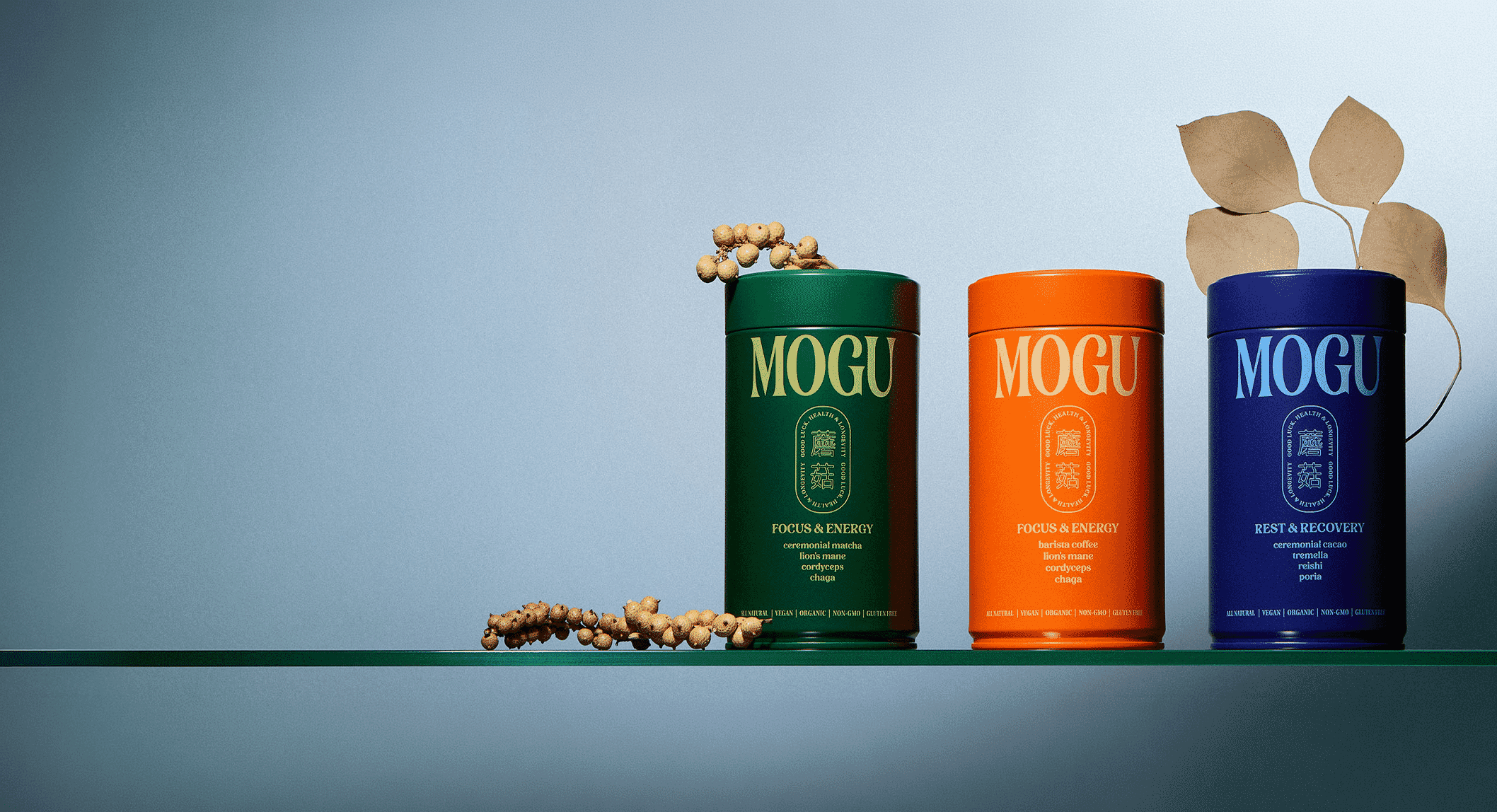 MOGU Mushroom Review: Are These Blends Worth It?