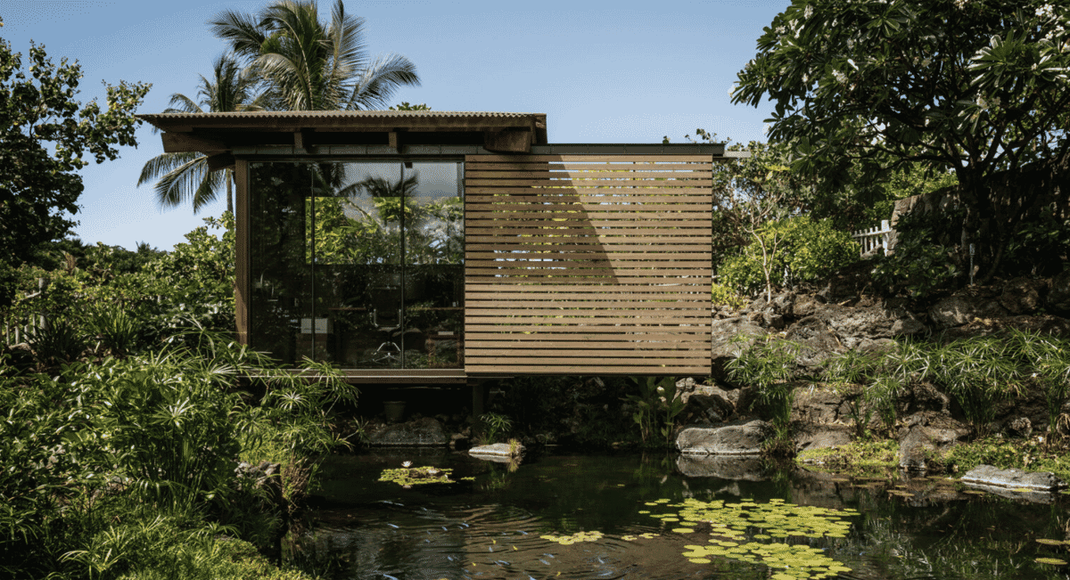 Exterior view of a glass-walled modern office hut in a tropical garden with palm trees.