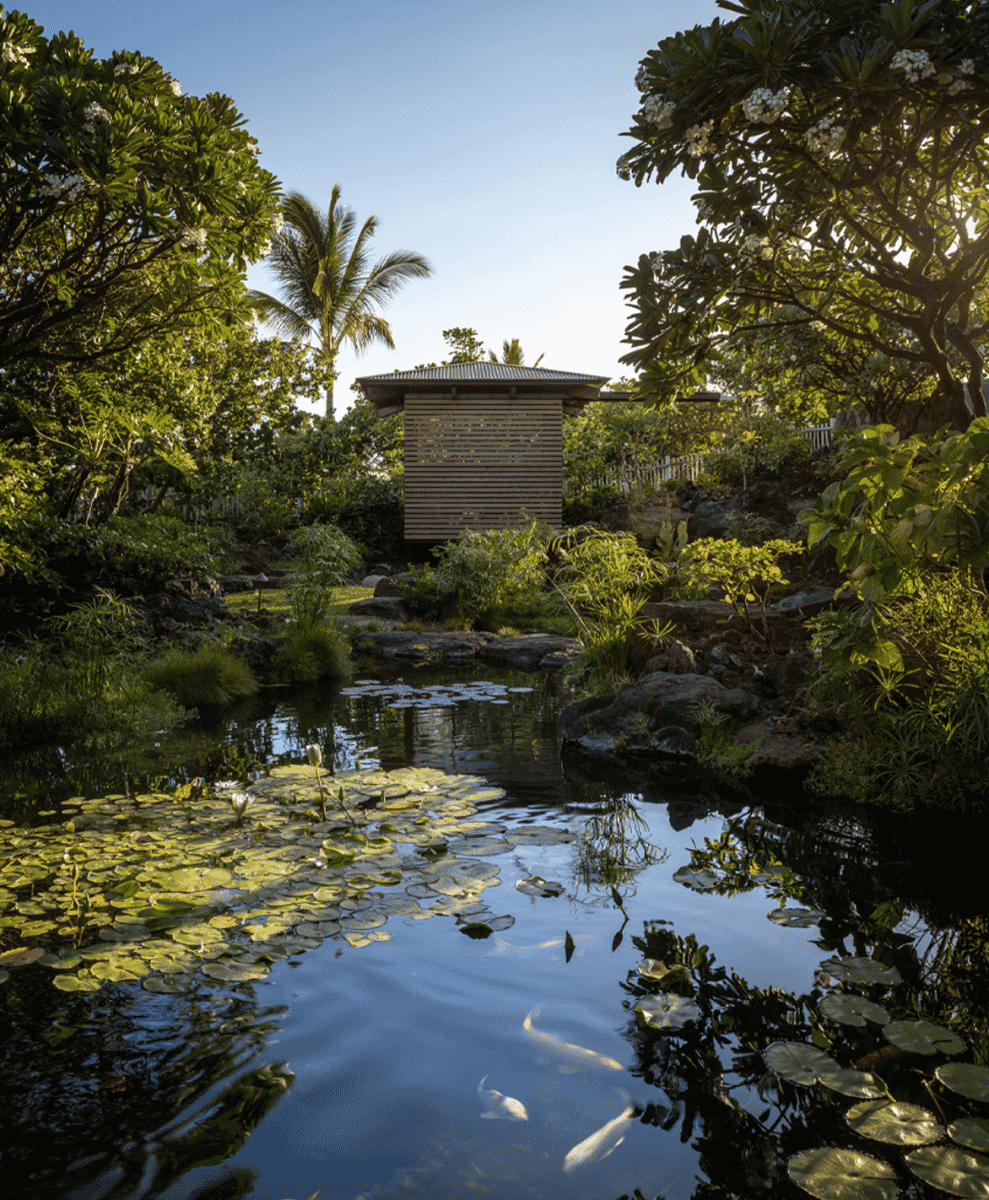 A serene tropical pond with koi fish and lily pads next to a wooden structure.