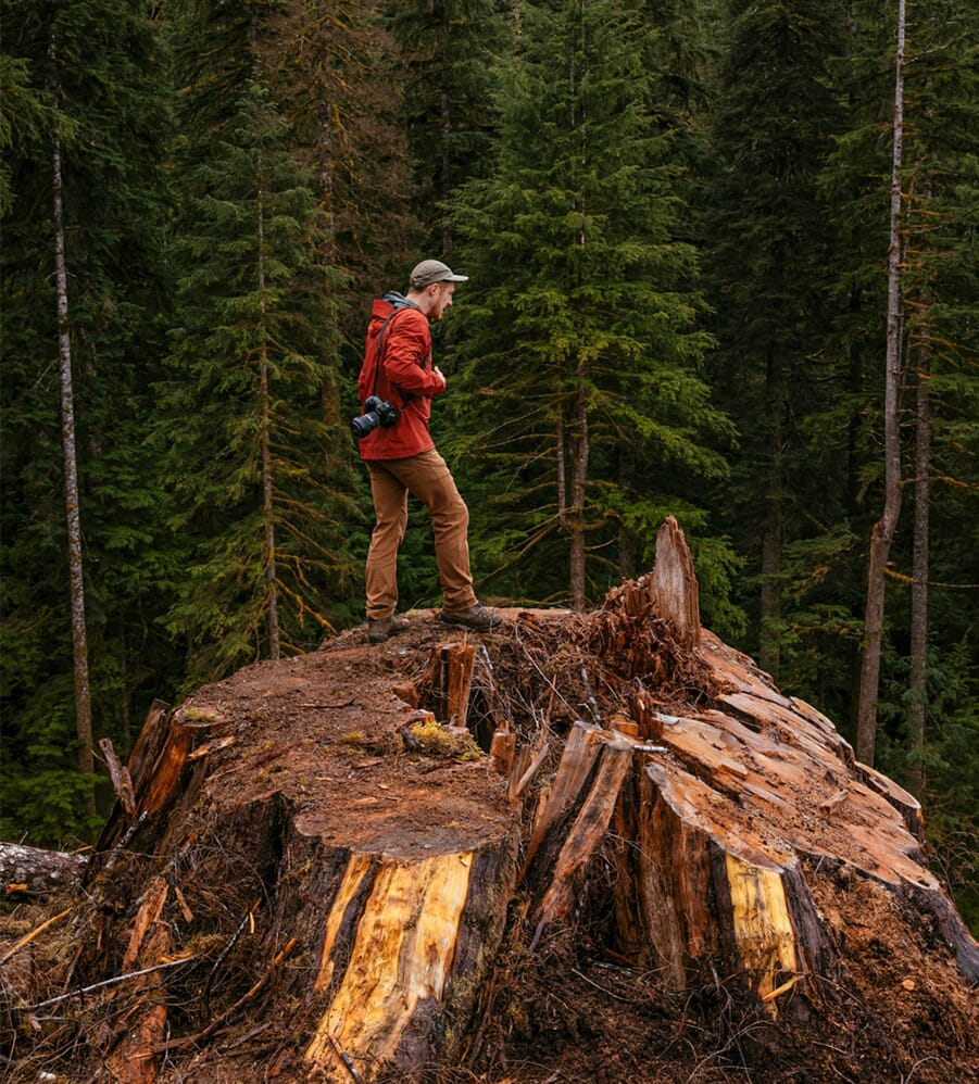 Patagonia brand graphic with text: Find your perfect fit for the great outdoors.
