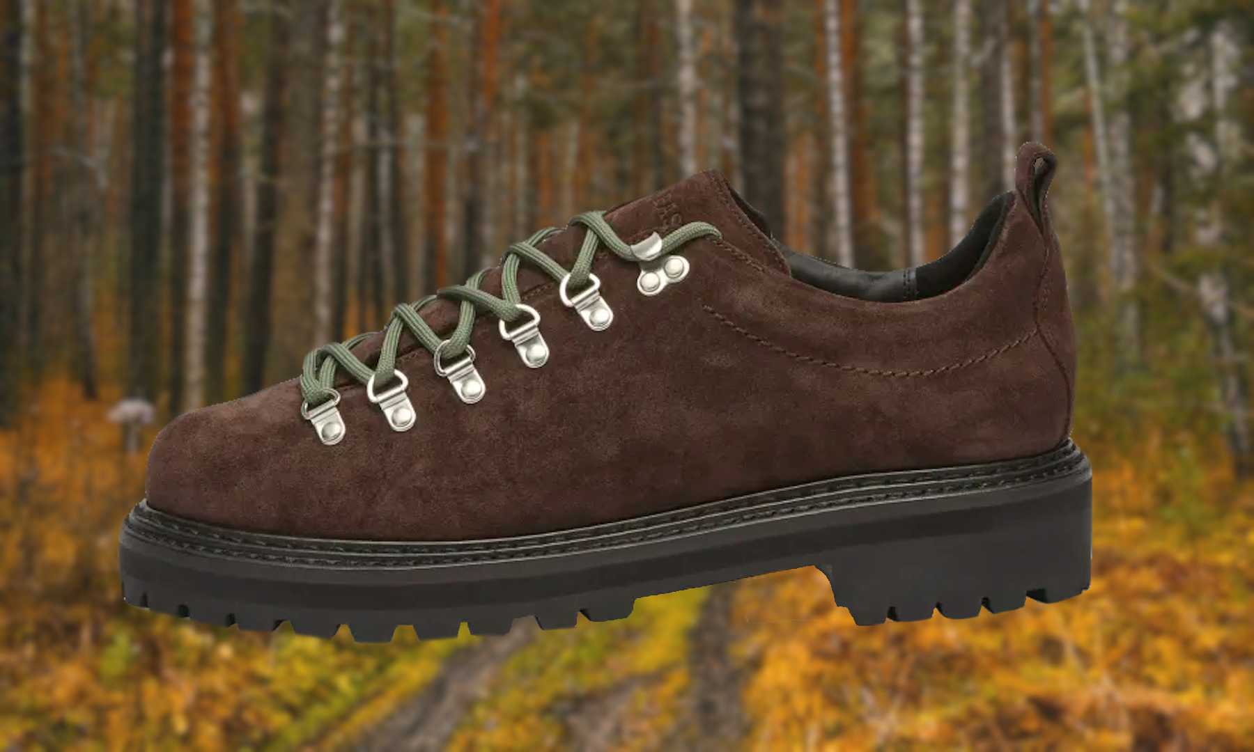 10 Best Low Hikers for Trail and City (2026)
