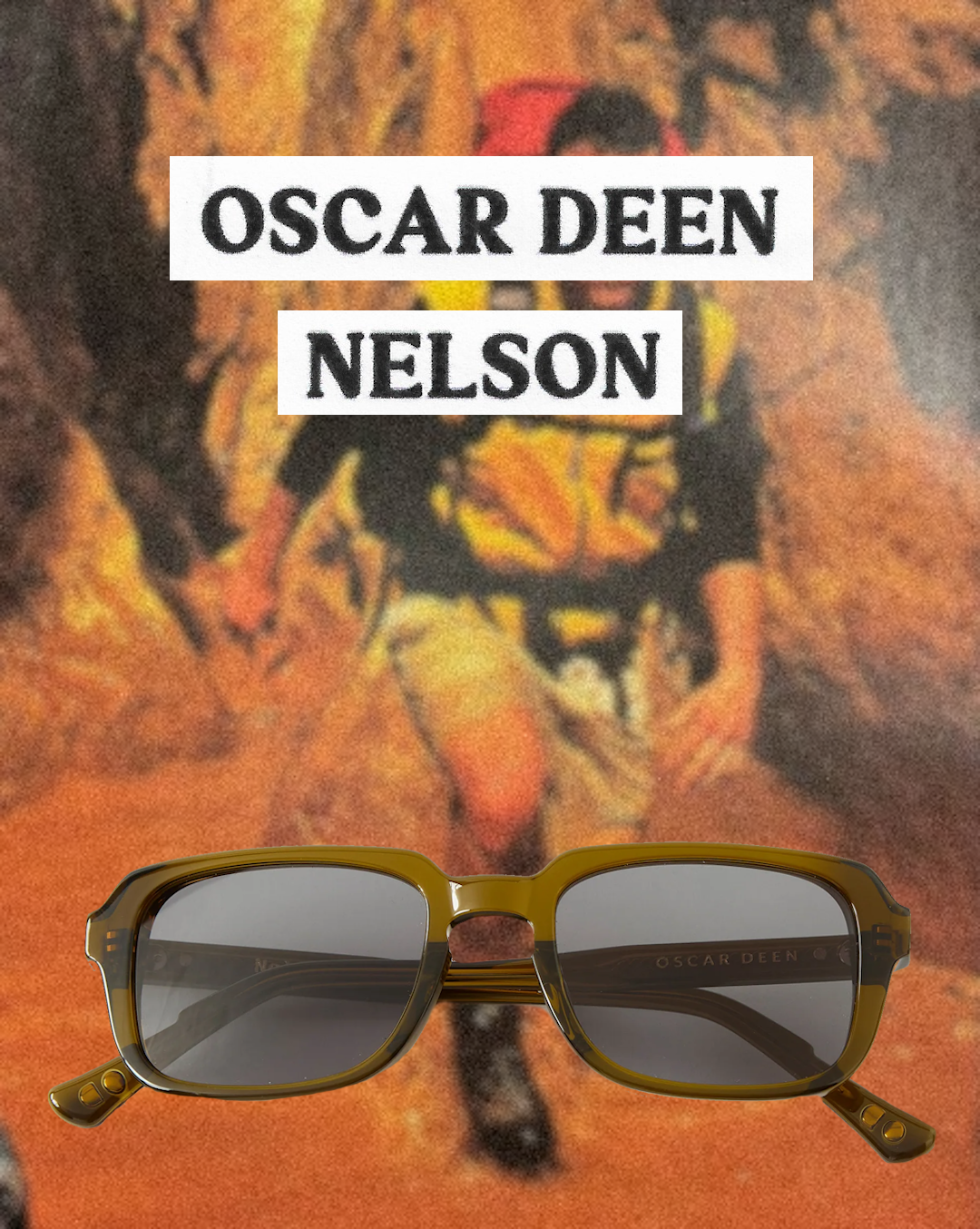 Close-up of translucent acetate frames with a classic tortoiseshell pattern.