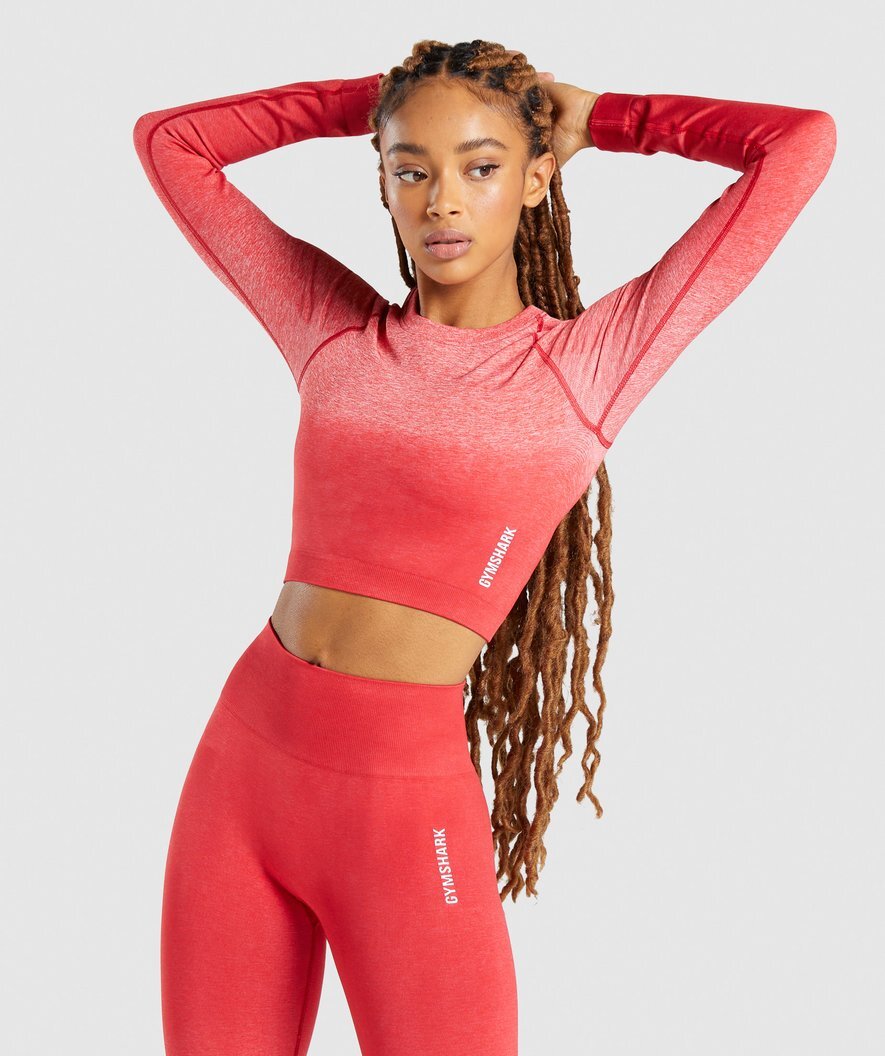 Fabletics vs Gymshark: Which Activewear Brand is Better?