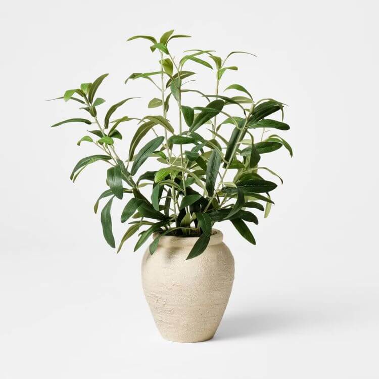 Faux olive leaf arrangement in a neutral ceramic pot.