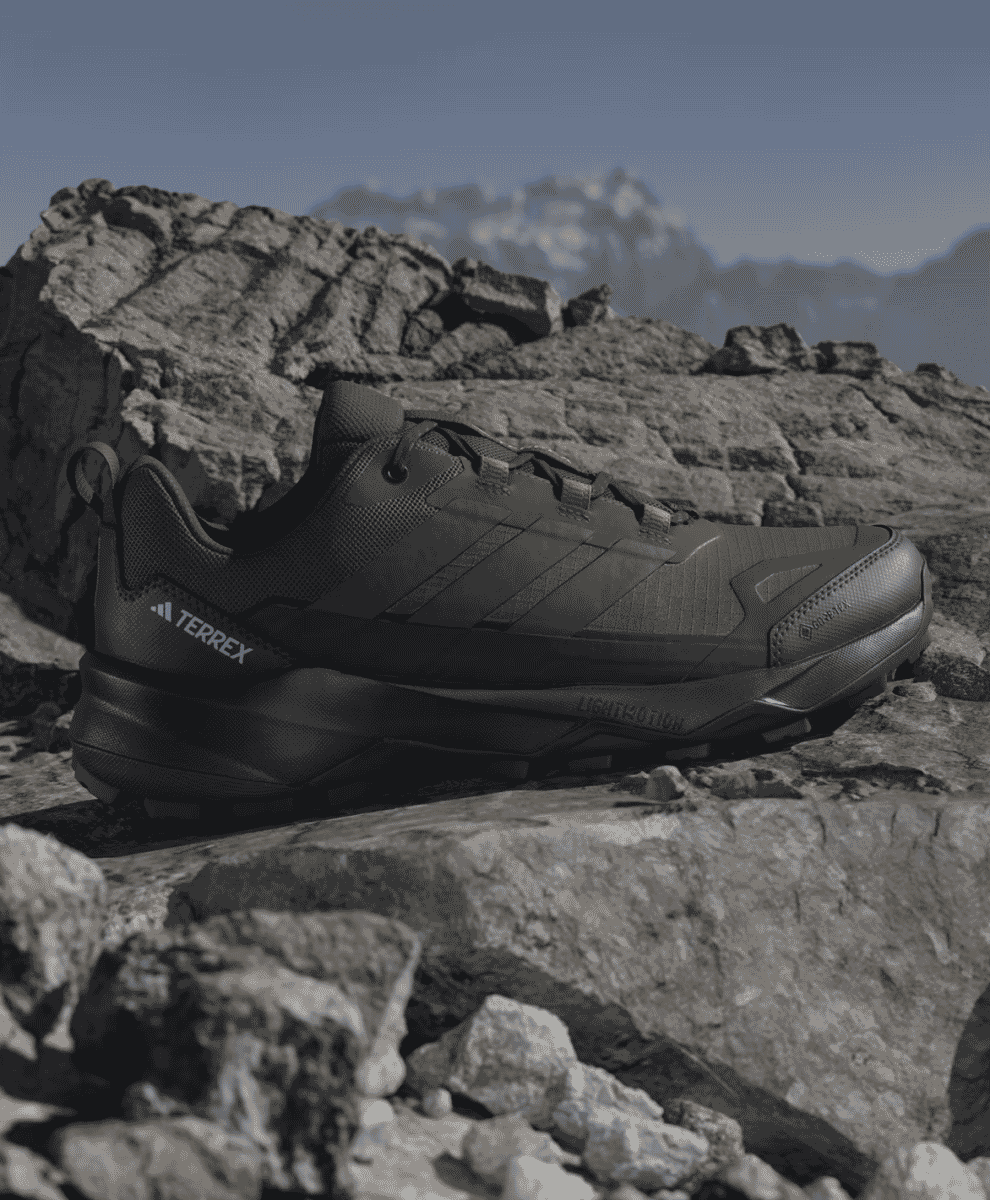 Adidas Terrex sneakers featuring a mix of technical mesh and Gore-Tex branding.